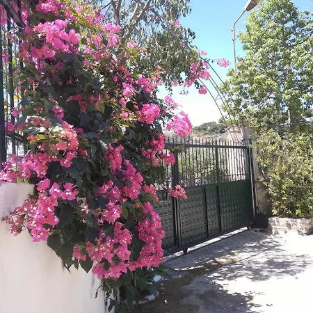 Oasis Vandrerhjem Himarë