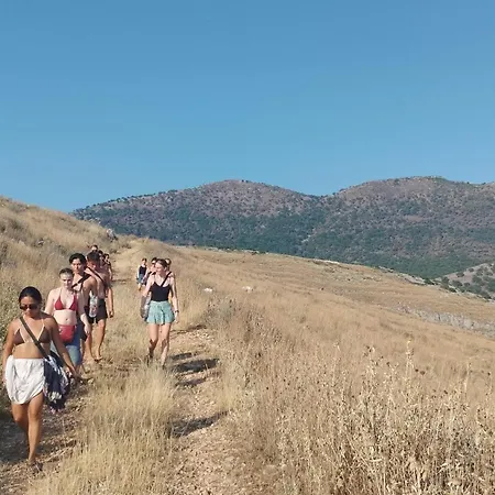 Oasis