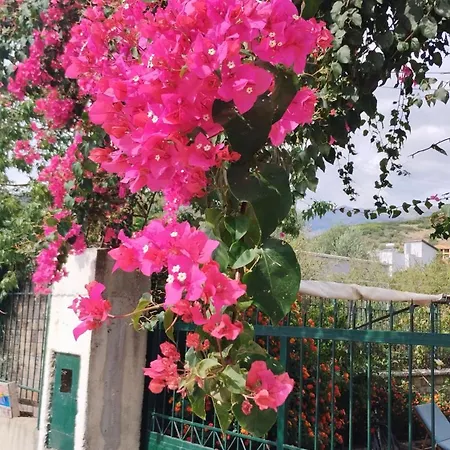 Oasis * Himarë