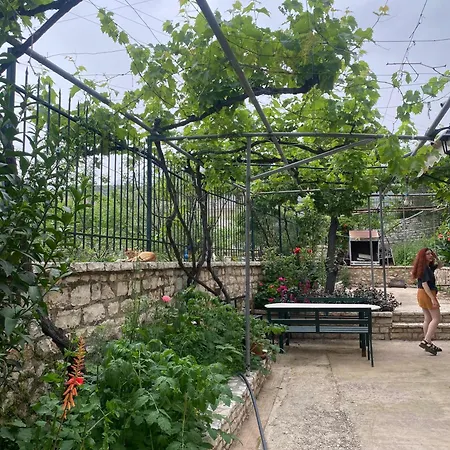 Hostel Oasis