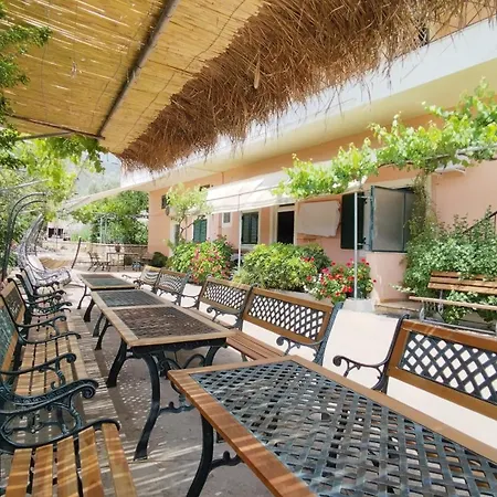 Oasis *