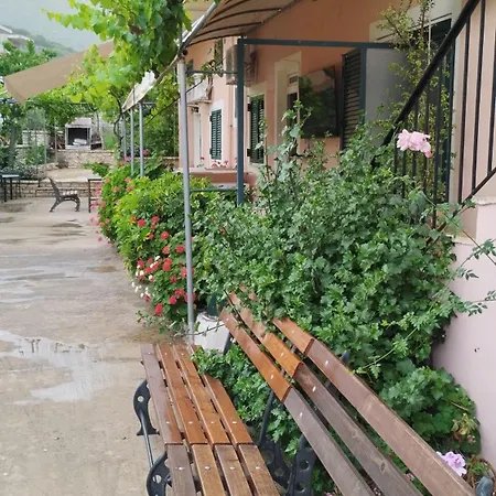 Oasis Hostel *