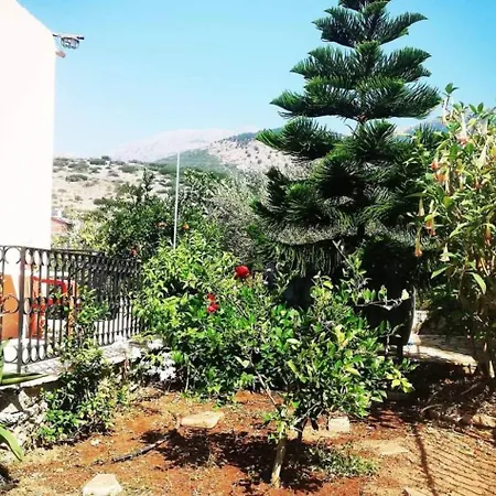 Hostel Oasis