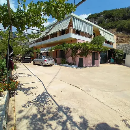 Oasis Hostel *