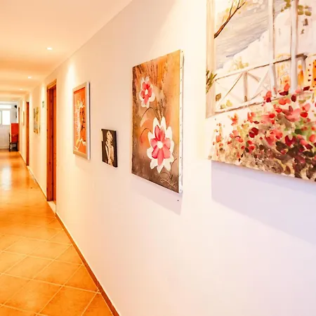 Hostel Oasis